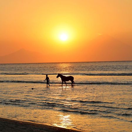 Villa Sunset Beach กีลีตราวางัน ภายนอก รูปภาพ